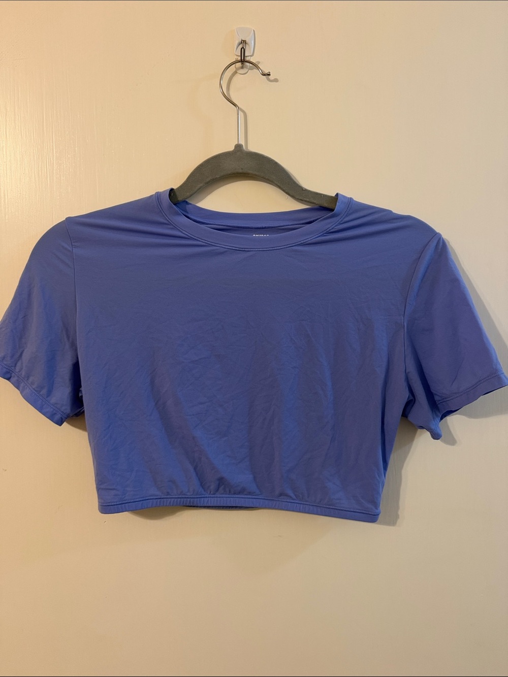 Skims Large Cropped Crewneck Top in Periwinkle